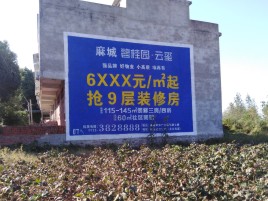 龙岩品牌公司青睐的墙体广告