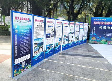 龙岩KT板的种类和知识。